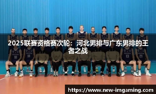 IM电竞官方网站