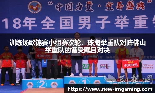 IM电竞官方网站